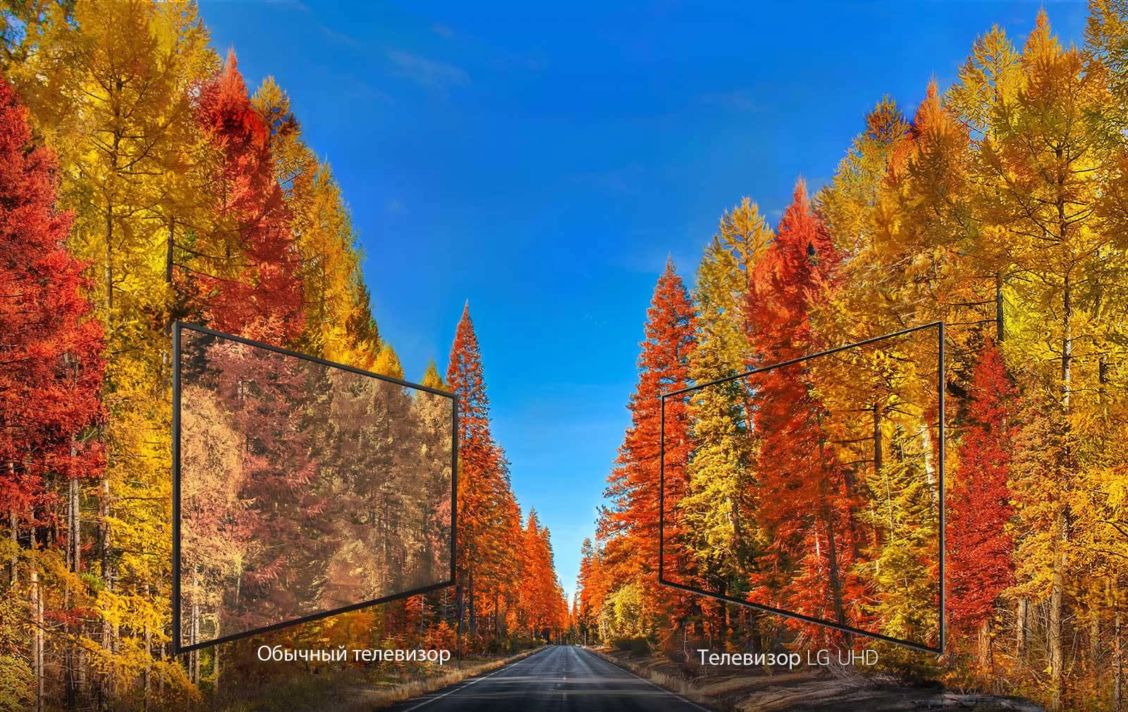 LED телевизор LG 49UK6300 block specification img 7