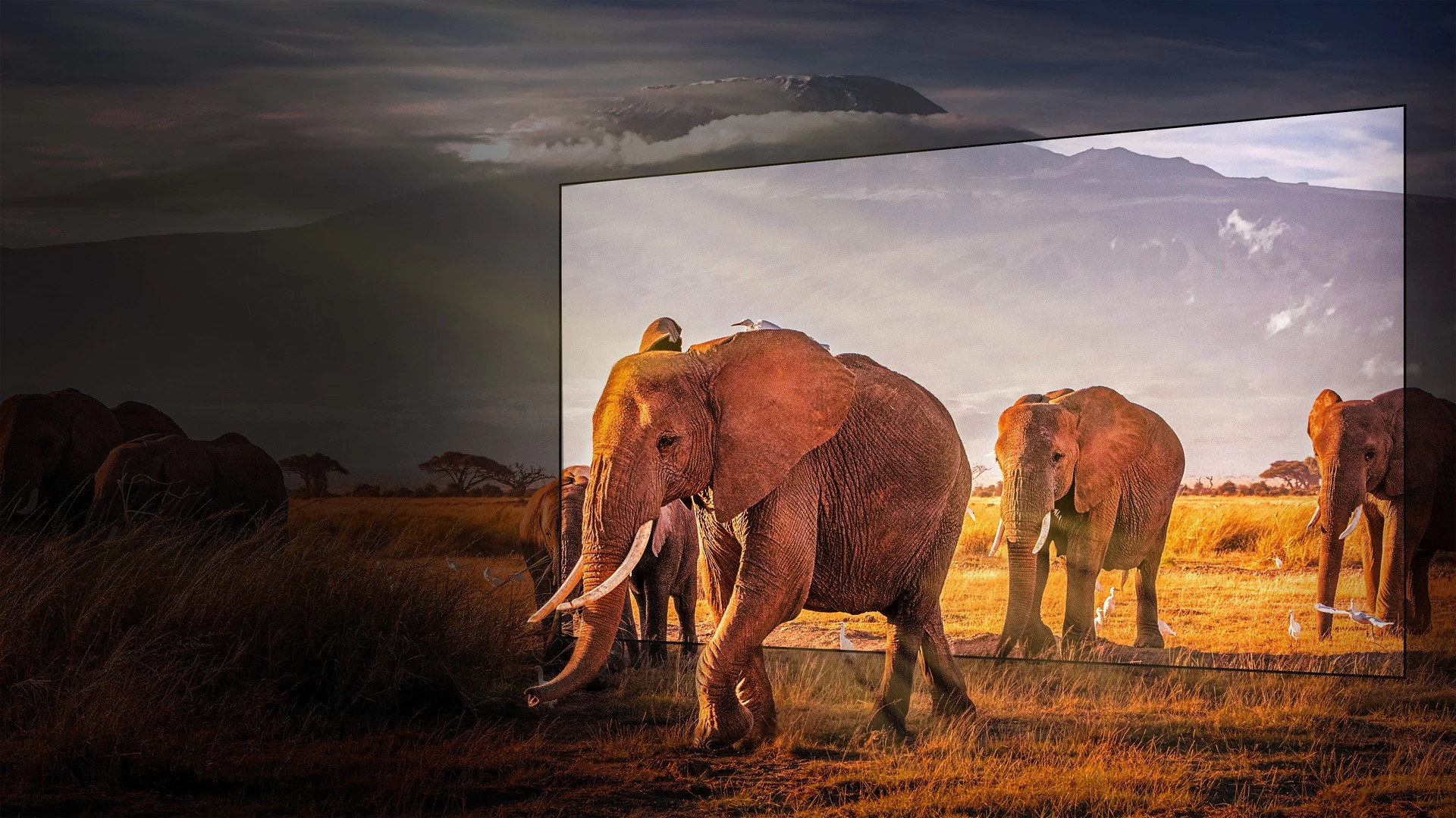 4K Mini LED Hisense 65U8KQ block specification img 6