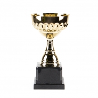 Cupe HAOYUNQI Gold Cup thumbnav 1