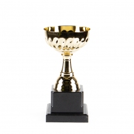 Cupe HAOYUNQI Gold Cup thumbnav 1
