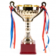 Cupe HAOYUNQI Gold Cup thumbnav 1