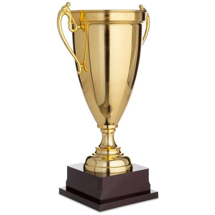 Cupe HAOYUNQI Trophy photo 2