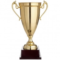 Cupe HAOYUNQI Trophy thumbnav 1