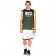 Шорты Nike MIL M NK SWGMN SHORT HOME 18 thumbnav 3