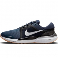 Кроссовки Nike AIR ZOOM VOMERO 16 thumbnav 1