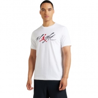 Футболка Nike M J BRAND GFX SS CREW2 thumbnav 3