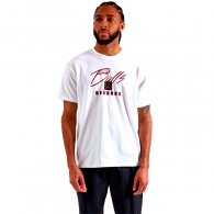 Tricou Nike CHI M CTS STMT M90 SSTEE thumbnav 3