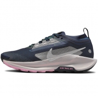 Кроссовки Nike W PEGASUS TRAIL 5 GTX thumbnav 1