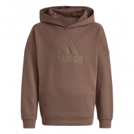 Hanorac Adidas U FI LOGO HD thumbnav 1