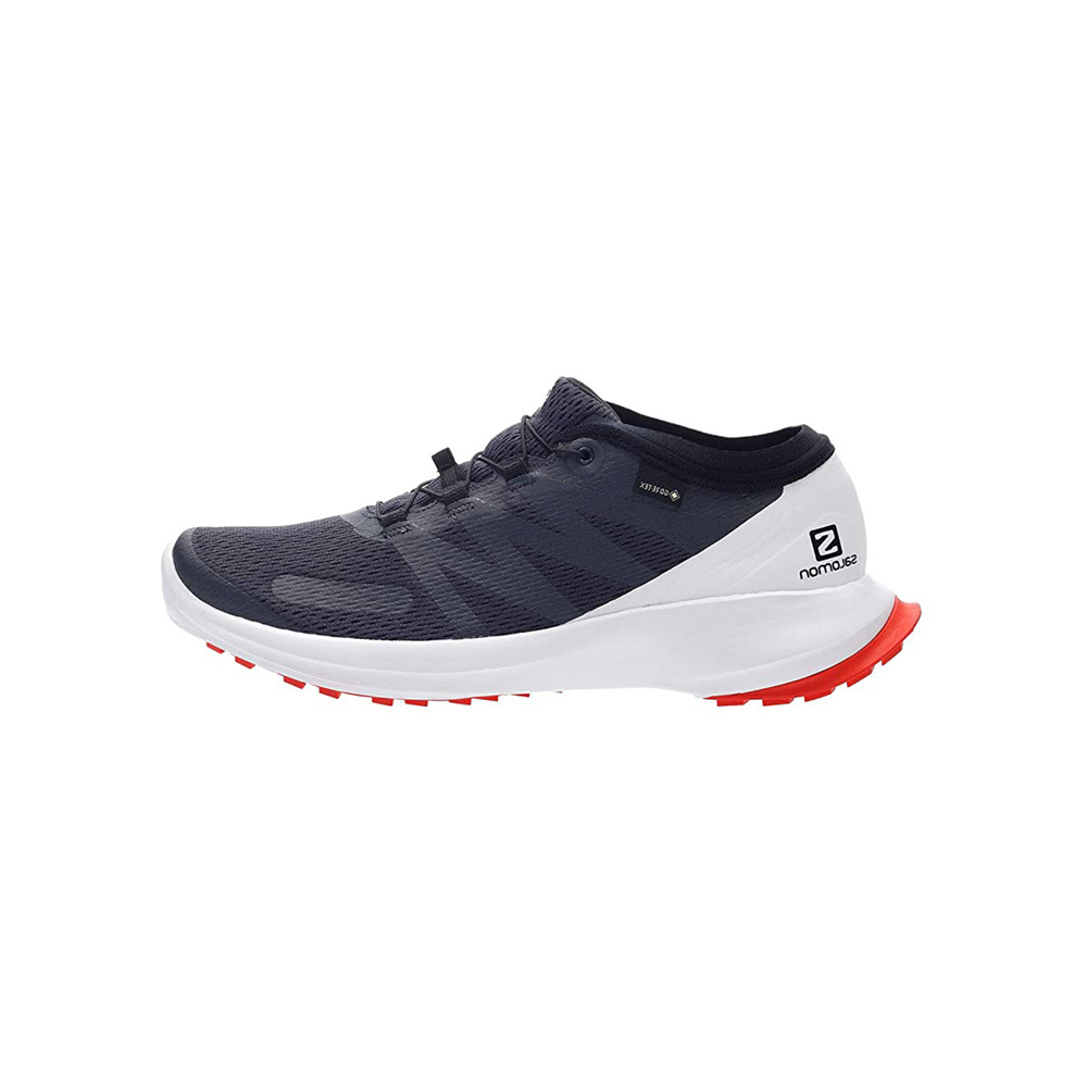 Кроссовки Salomon SHOES SENSE FLOW GTX / Мужской / 42.5 / Черный photo 1 Кроссовки Salomon SHOES SENSE FLOW GTX / Мужской / 42.5 / Черный photo 1
