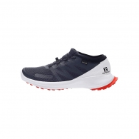 Кроссовки Salomon SHOES SENSE FLOW GTX thumbnav 1