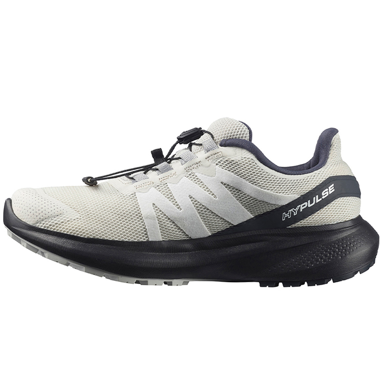 Кроссовки Salomon SHOES HYPULSE GTX W photo 