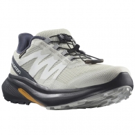 Кроссовки Salomon SHOES HYPULSE GTX W thumbnav 2