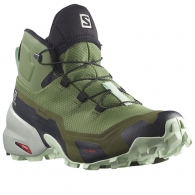 Ботинки Salomon CROSS HIKE MID GTX W thumbnav 2