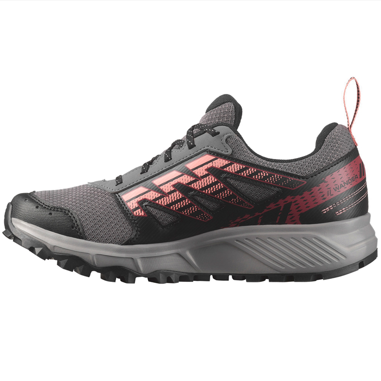 Incaltaminte Sport Salomon SHOES WANDER GTX W photo 