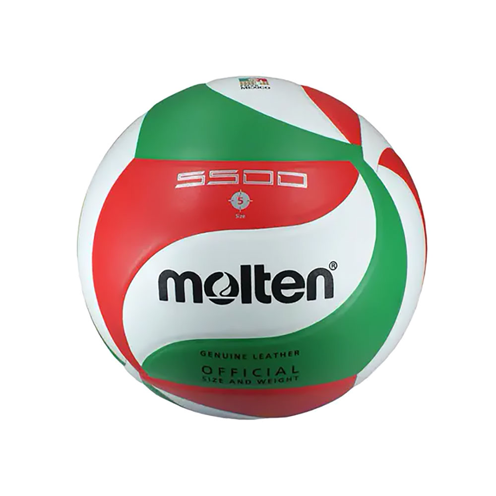 Minge voley Molten Volley ball photo 