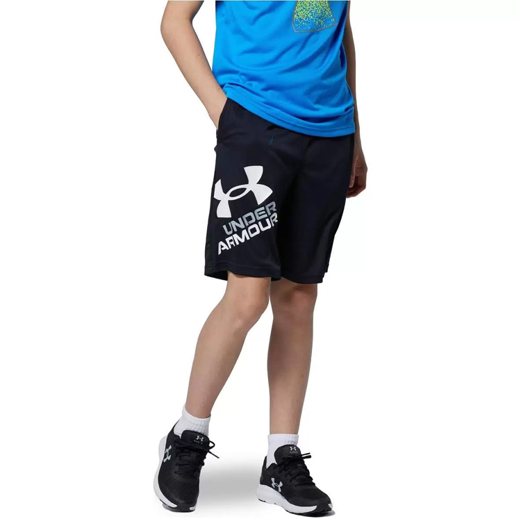 Шорты Under Armour UA BGS PROTOTYPE 2.0 LOGO SHORTS photo 4