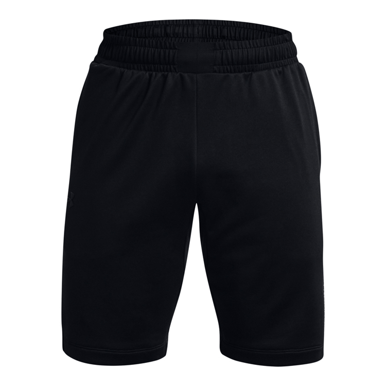 Шорты Under Armour UA TERRY SHORT photo 