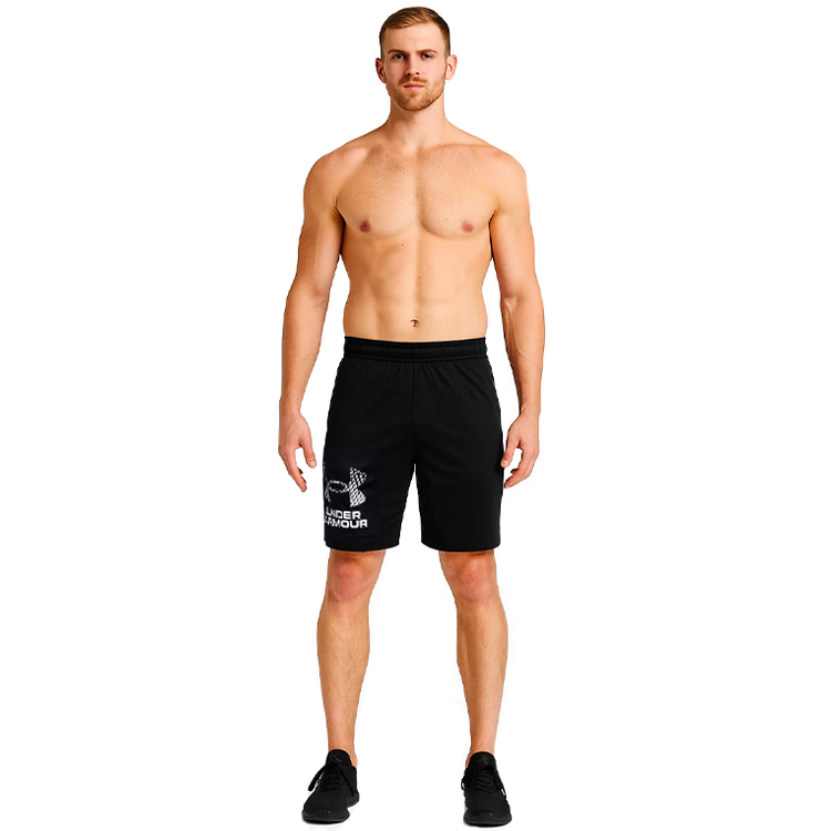 Шорты Under Armour UA Tech Logo Shorts photo 