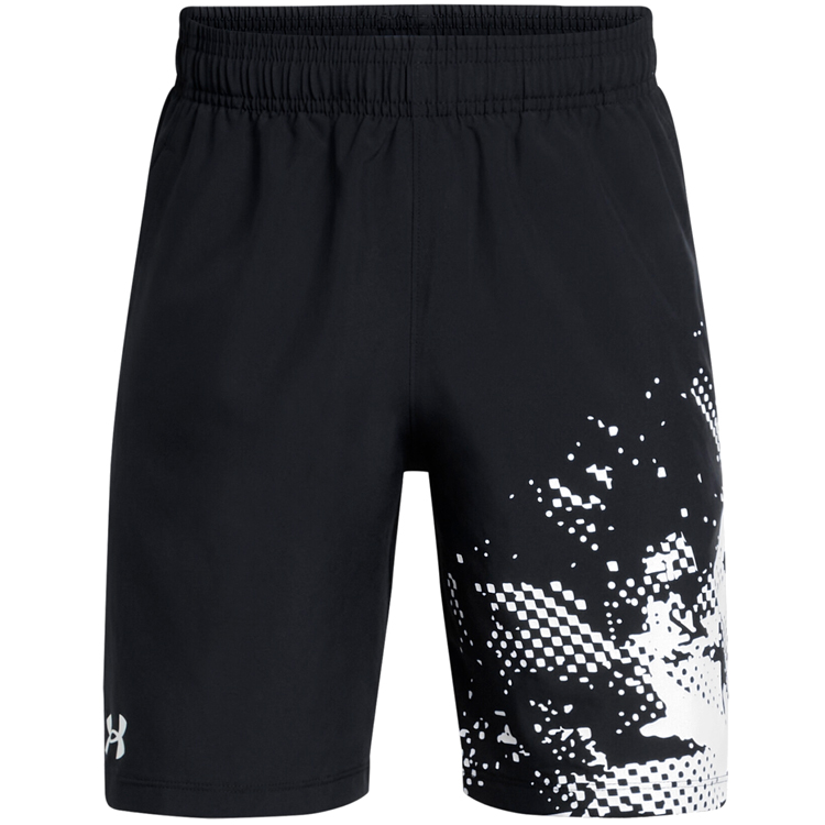 Шорты Under Armour UA Tech Woven Graphic Short photo Шорты Under Armour UA Tech Woven Graphic Short photo