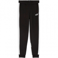 Брюки Puma ESS BLOCK Sweatpants TR B thumbnav 2