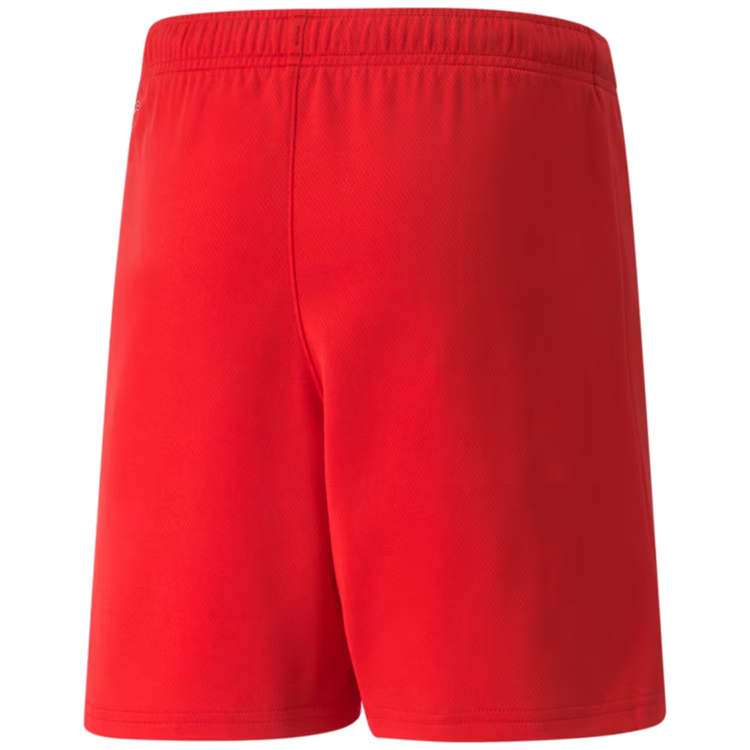 Sorti Puma teamRISE Short Jr photo 2