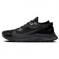 Кроссовки Nike PEGASUS TRAIL 2 GTX thumbnav 1