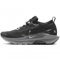 Кроссовки Nike W PEGASUS TRAIL 5 GTX thumbnav 1