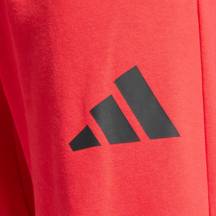 Брюки Adidas M WIDE PANT FT XS Красный Мужской photo 5