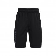 Шорты Under Armour UA Prototype 2.0 Wdmk Shorts thumbnav