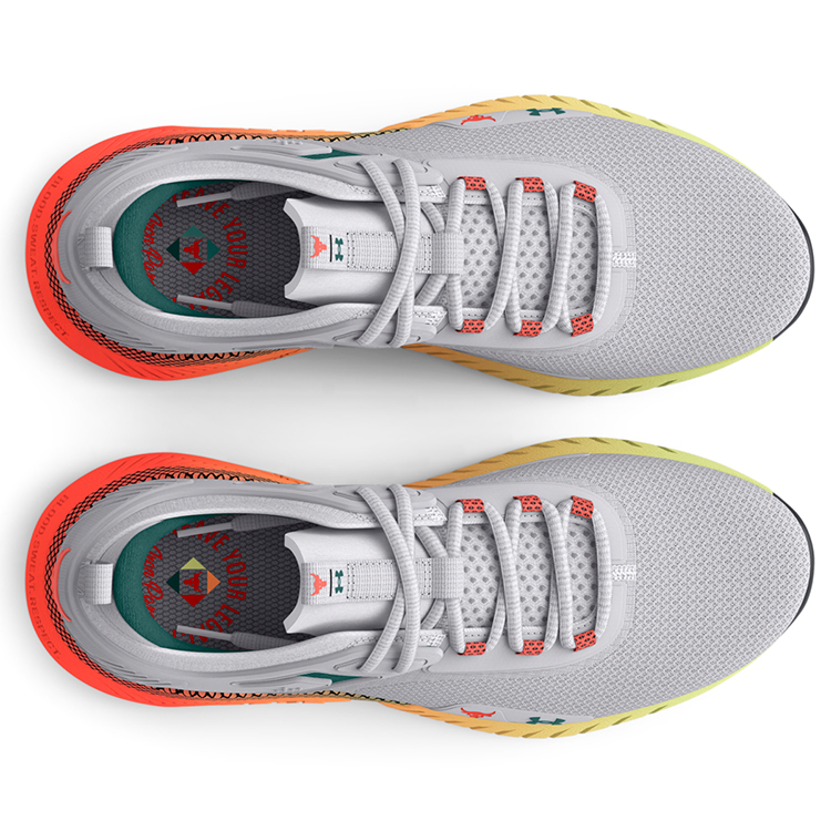 Кроссовки Under Armour UA W Project Rock 5 / Женский / 38 / Серый photo 2
