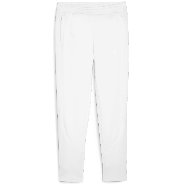 Pantaloni Puma EVOSTRIPE Pants DK photo 
