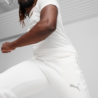 Брюки Puma EVOSTRIPE Pants DK thumbnav 2