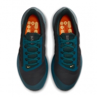 Кроссовки Nike AIR WINFLO 9 SHIELD thumbnav 5