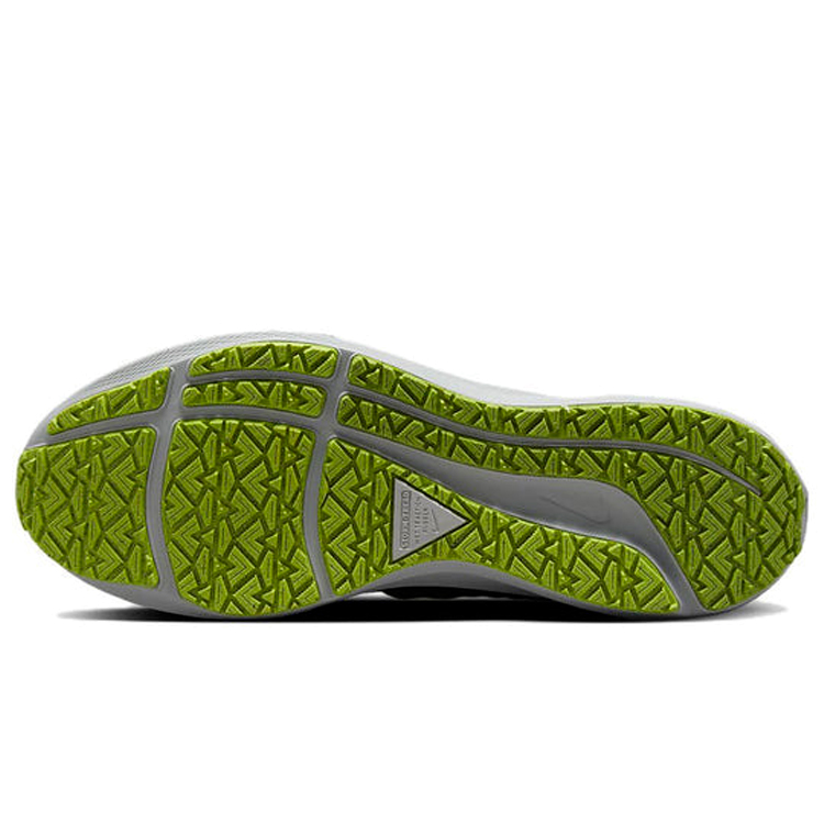 Кроссовки Nike AIR ZOOM PEGASUS 39 SHIELD photo 2