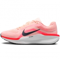 Кроссовки Nike WMNS AIR WINFLO 11 thumbnav 1