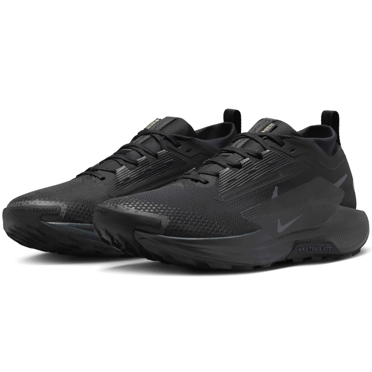 Кроссовки Nike PEGASUS TRAIL 5 GTX / Мужской / 40 / Черный photo 3