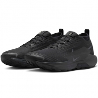 Кроссовки Nike PEGASUS TRAIL 5 GTX thumbnav 3
