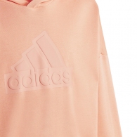 Толстовка Adidas U FI LOGO HD thumbnav 3