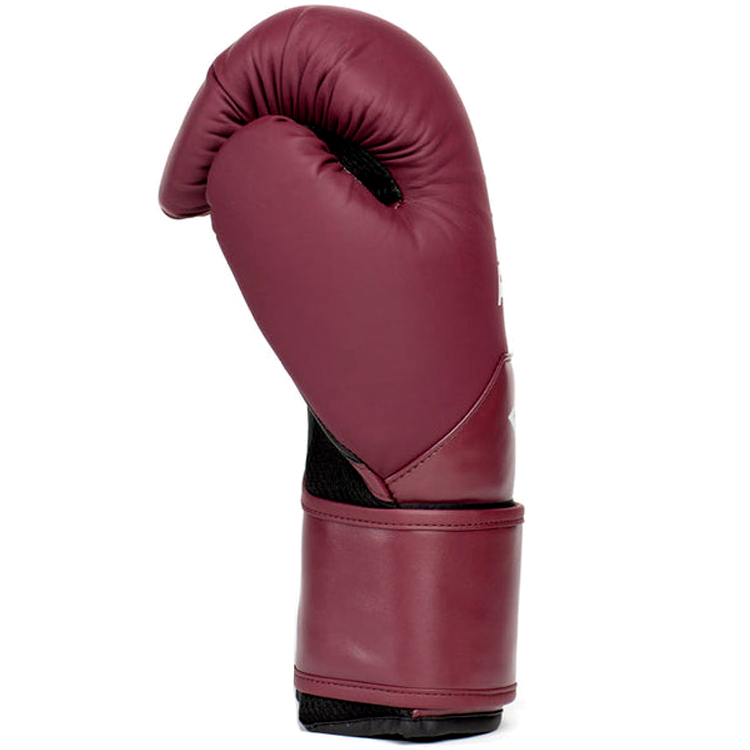 Перчатки для бокса Everlast ELITE 2 photo 2