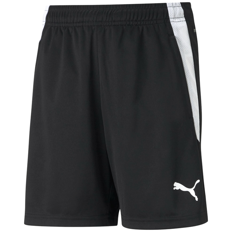 Sorti Puma teamLIGA Training Shorts Jr photo 1 Sorti Puma teamLIGA Training Shorts Jr photo 1