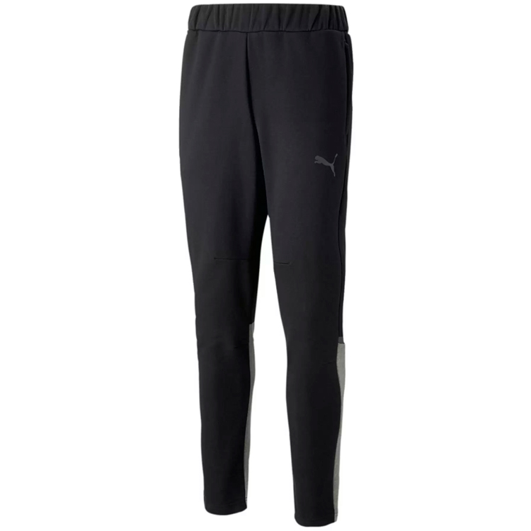 Брюки Puma teamCUP Casuals Pants photo 