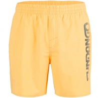 Шорты для плавания Fundango Bono Beach Shorts thumbnav 2