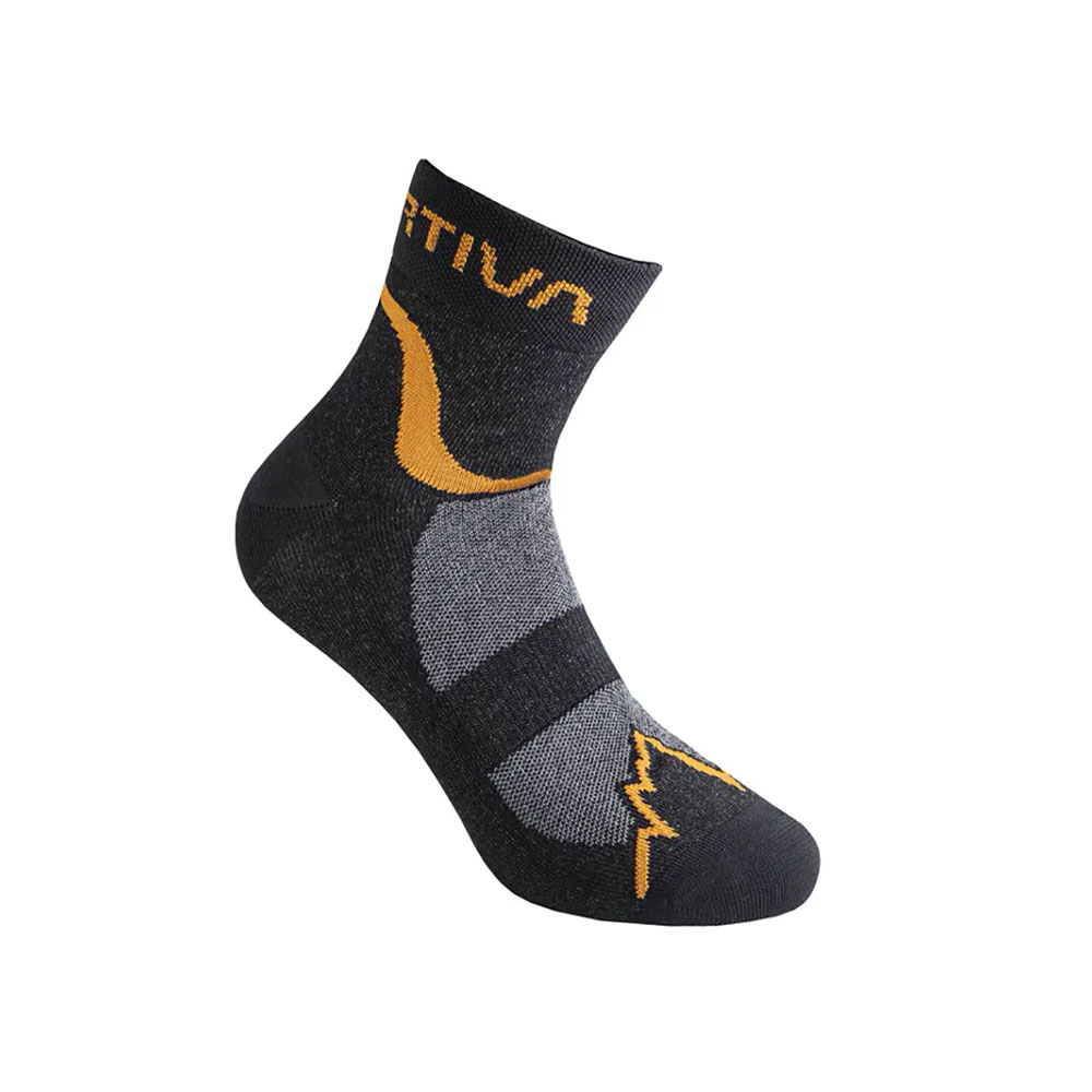Носки La Sportiva Fast Running Socks photo Носки La Sportiva Fast Running Socks photo