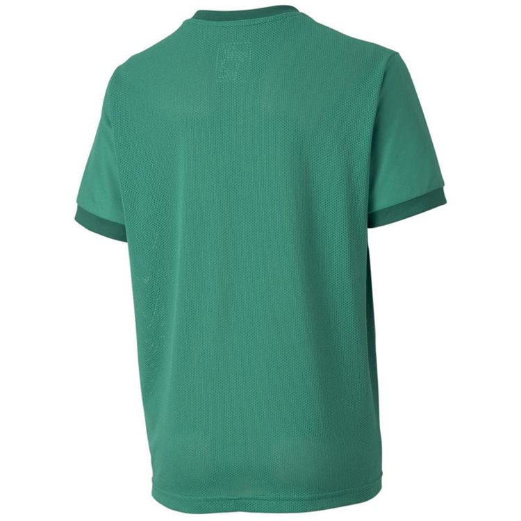 Tricou Puma teamGOAL 23 Jersey jr photo 2