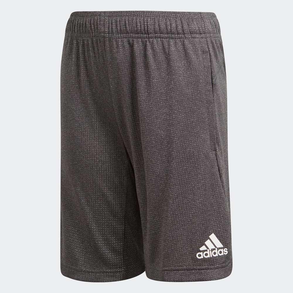 Sorti Adidas YB TR CHILL SH photo 1 Sorti Adidas YB TR CHILL SH photo 1