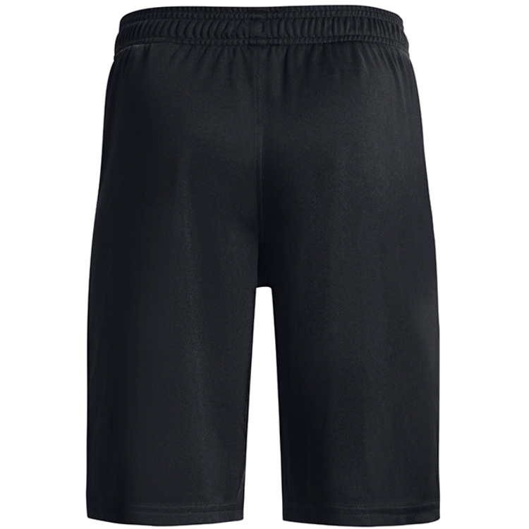 Шорты Under Armour UA BGS PROTOTYPE 2.0 LOGO SHORTS photo 2