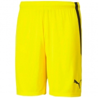 Шорты Puma teamLIGA Shorts Cyber thumbnav 1