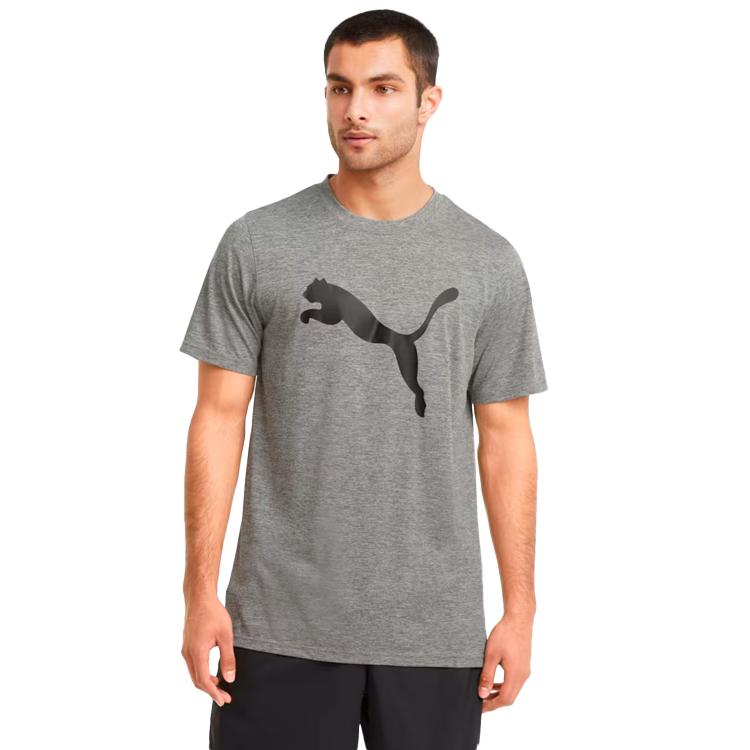 Tricou bărbătesc Puma ACTIVE Big Logo Tee S Gri photo 4