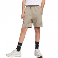 Шорты Adidas J ZNE SHORTS thumbnav 1